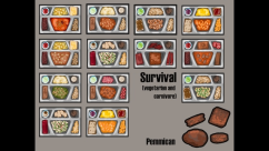 Food Texture Variety - Replacement 6