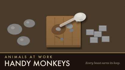 Animals at Work &mdash; Handy Monkeys