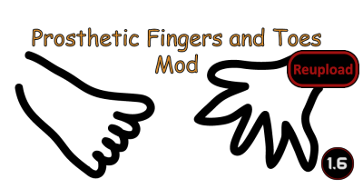 Prosthetic Didgets (Continued)