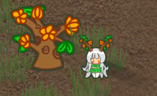 SpiritBranch 0