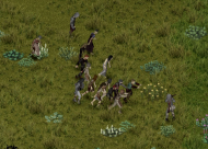 Project Medieval [B42] 7