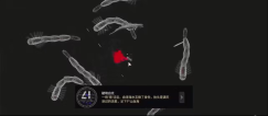 T.S.M MISSIONS - 问君此去几时还 9