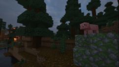 Minecraft Taiga Village 6