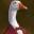 PoliteGoose