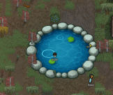 [GP]Small Pond 3