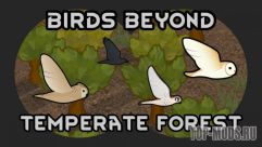 Birds Beyond: Temperate Forest 0
