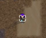 C-14 Impaler gauss rifle from starcraft 1