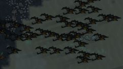 Arachnid Insectoids 1