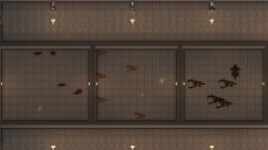 Arachnid Insectoids 3