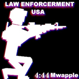 United States law enforcement