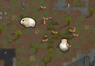 Stronger GuineaPig 0